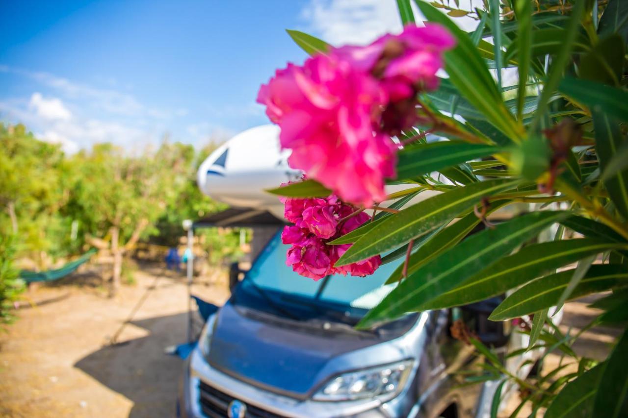 Village & Camping La Foce Valledoria  Bagian luar foto
